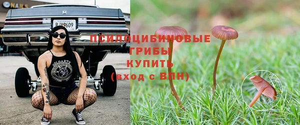 трава Алексин