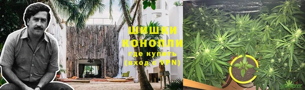 трава Алексин