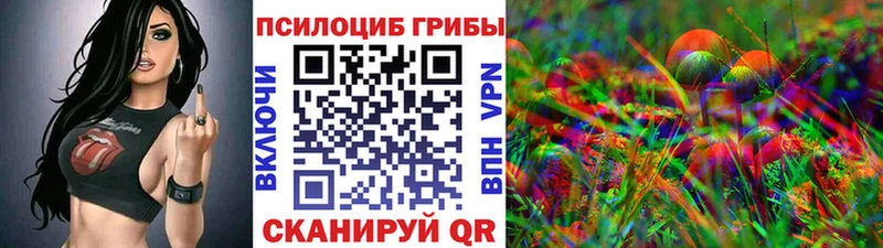 shop состав  Беслан  Галлюциногенные грибы Psilocybine cubensis 